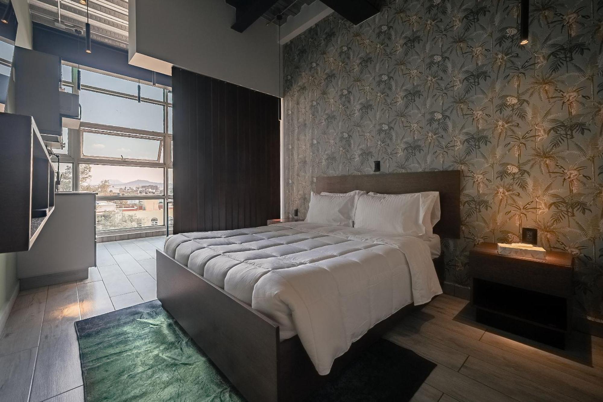 The Jungle Loft Tropical Comfort In A Centric Location With Kitchen Мехико Экстерьер фото